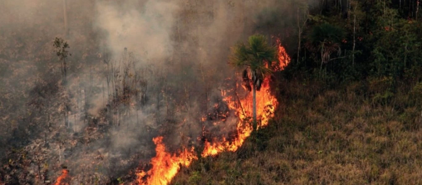 Ρεκόρ πυρκαγιών τον Ιούλιο στον Αμαζόνιο - 1.669 εστίες φωτιάς συνολικά